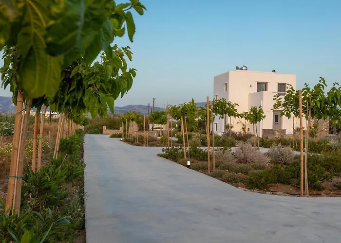 Isalos With Private Pool, Sleeps 4 Willa Naxos City